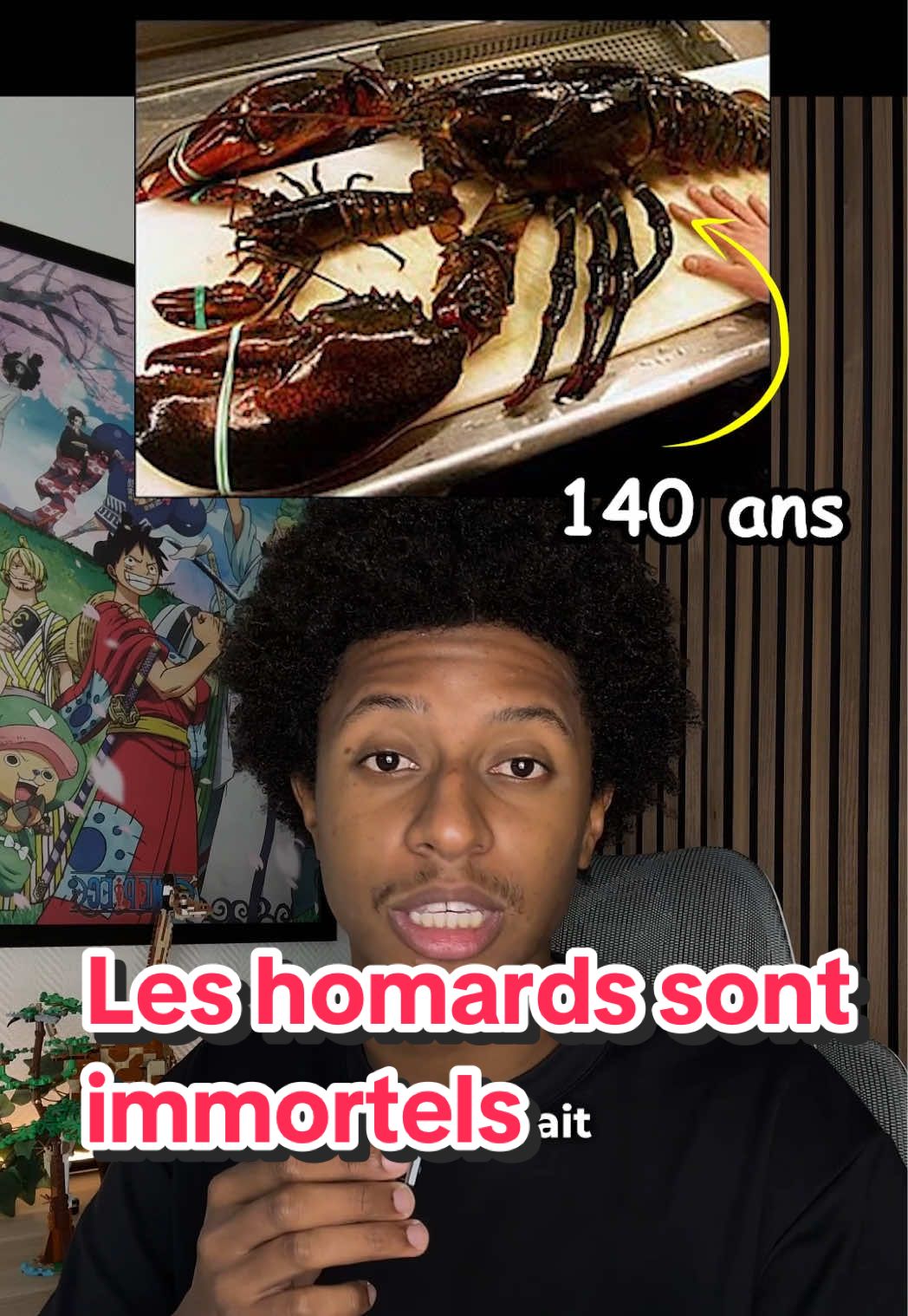 Oui, les homards sont bien immortels les gars… On en apprend tous les jours hein 😭