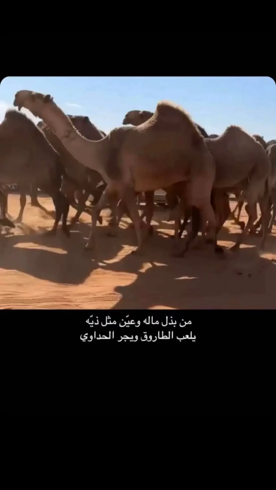 #اكسبلور #عشوائيات 