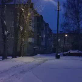 жаль что твои родители не чайлдфри;((#монеточка #чайлдфри #липсинг #elbruso 