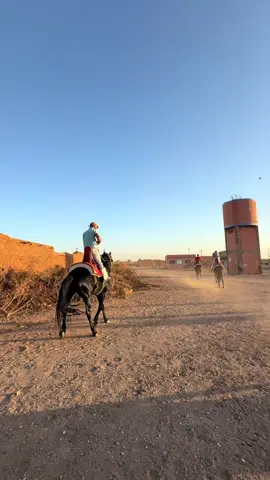 #youssoufiacity #echemmaia #الخوالقة🇲🇦🇮🇹 #lakhoualqa🇲🇦🇲🇦🇮🇹 #الخيالهہ🐎🍃🌸💚 
