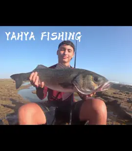 #hypic #hypicpioneer #CapCut #fishing.    اشتركوا في القناة وخليو لايك 👍، 