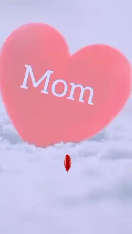 #harmetoosijaladha❤️❤️♥️♥️💚💚❤️❤️ 