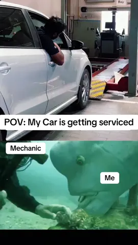 POV: Trusting the mechanic is harder than the service itself 😂🔧🚗  My face every time the mechanic touches my car 💀🚗  #carservice #mechanic #fyp #relatable #cars  carservice mechaniclife carrepair fyp viral trending explorepage carmemes carowners carcommunity funnymemes relatable tiktokcars carcheckup pov carshop anxiety humor memecontent 