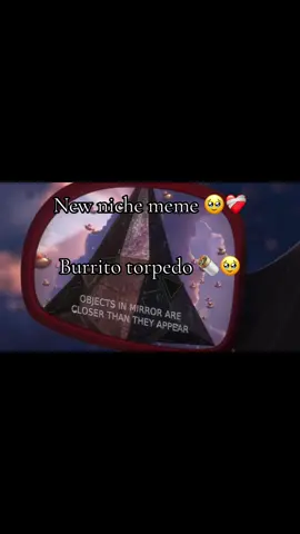 Can people stop saying “niche”  it’s almost October 💔#satire #ragebait #burritotorpedo #fyp 