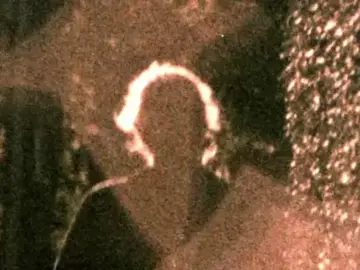 [Градусы – Хочется] перевод #lyricsSaySo #music #translate #градусы #хочется 