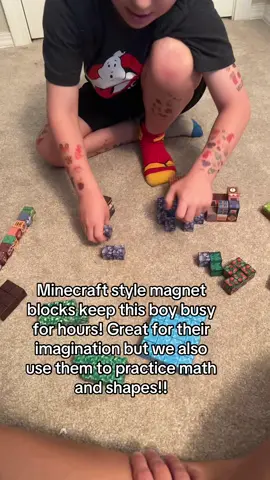 My son absolutely loves these and we will definitely be getting more for Christmas! We build, sort them, do math problems and make shapes. #Minecraft #thingstodo #homeschool #MomsofTikTok 