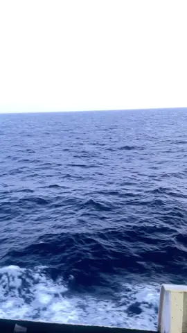 Apa pun yang terjadi intinya goyang itu🤣🥶 #isi Story om kapal #ambonpride🏝🔥 