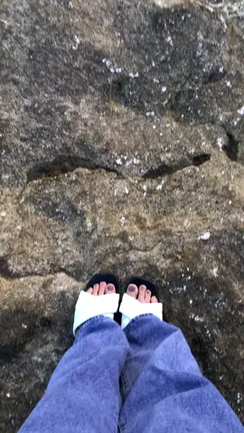 Pantai+sunset = tenangg #vibes#sunset #pantai #papumabeachjember #fyp 