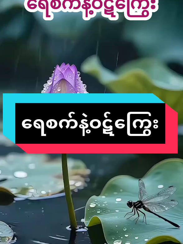 #ရေစက်နဲ့ဝဋ်ကြွေး#you #foryou #tiktokindia #ဘုန်းလေးမဟာနွယ်သာသနာ့နွယ်ဝင်အရှင် 