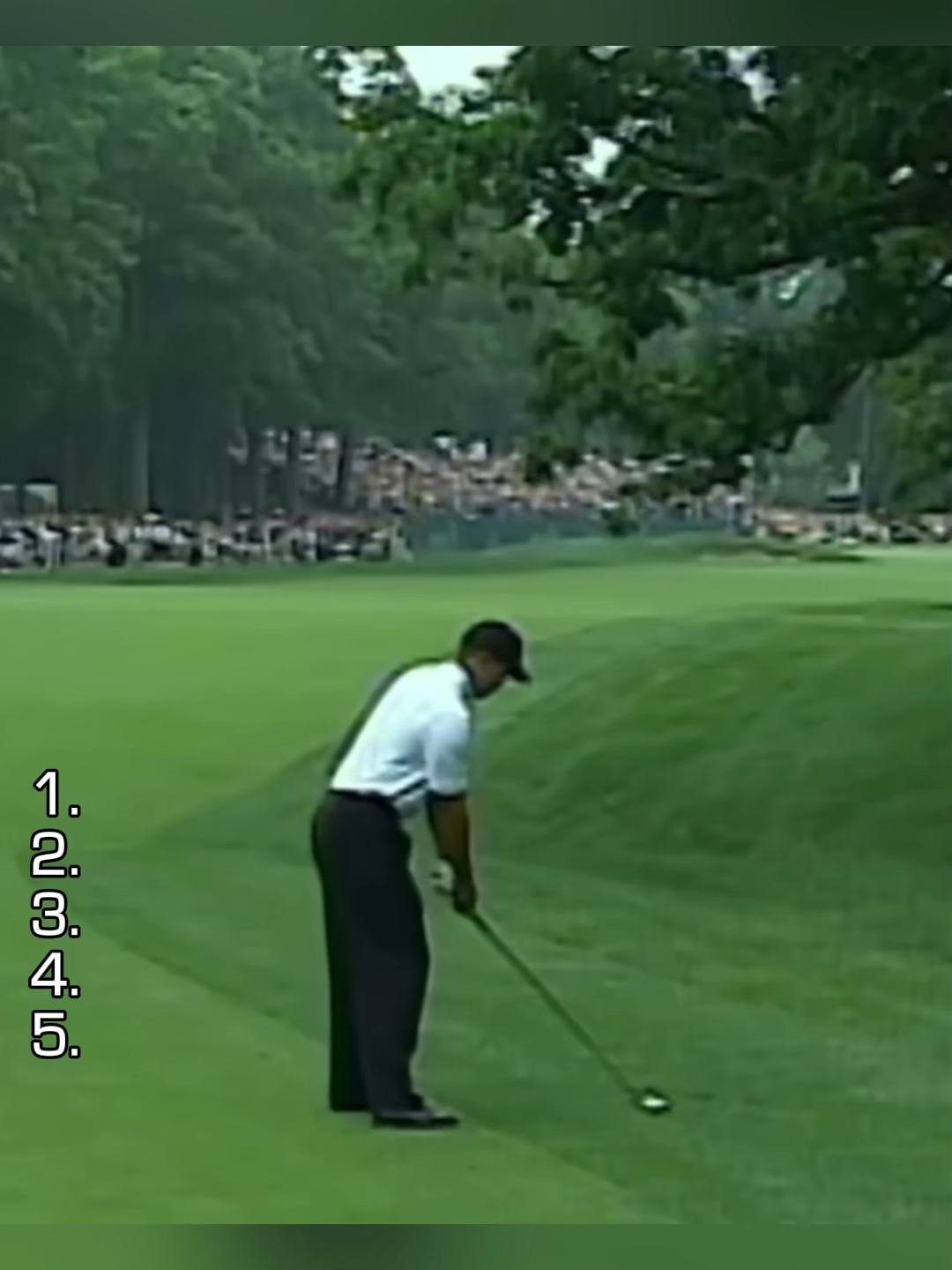🐯Tiger Woods Best Shots 🏌️‍♂️ Golf Legend Tiger Woods Doing What Legends Do! #golf #RyderCup #golftiktok #fyp #ForYou