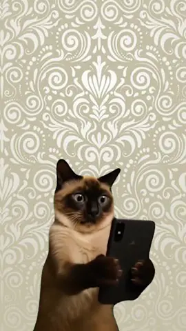 HOLA | #shorts #viral #zubito #fyp #clips #viralshorts #discord #serverdiscord #comunidad #fyp #videoviral