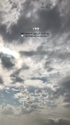 .. 🌱🕊️🤍🤍  كُل الأشياء في جوار الله هادئة دافئة    مليئة بالرضا والسكينة دائما .🤍#خواطر_من_القلب #الطبيعة 