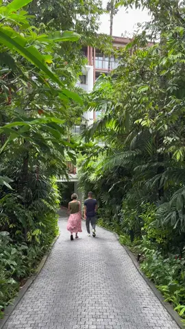 peaceful place 🕊️ @InterContinental Phuket Resort  #intercontinental 
