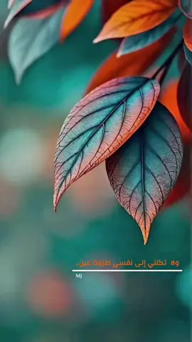 #ولا  تكلني إلى نفسي طرفة عين..