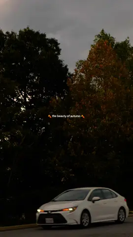 The beauty of autumn 🍁✨ falling leaves, golden colors, pumpkins, cozy nights, crisp air, candles glowing, and that magical fall aesthetic 🎃🍂 nothing compares to sweater weather and autumn magic 🧡 #fall  #fallaesthetic #autumnaesthetic  #pumpkinseason #autumnvibes fall leaves, autumn colors, cozy fall, pumpkins, autumn cozy, fall vibes, sweater weather, autumn magic, fall aesthetic, cozy nights, crisp air, candlelight, cozy season, pumpkin patch, spooky season, fall inspiration, autumn days, fall mood, cozy aesthetic, harvest vibes, autumn love