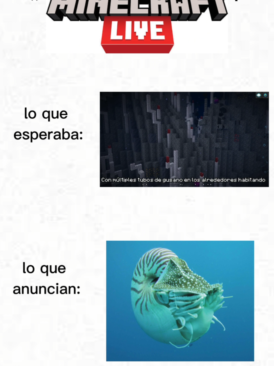 resumen de la Minecraft live #Minecraft #minecraftlive #27deseptiembre #day #fyp 