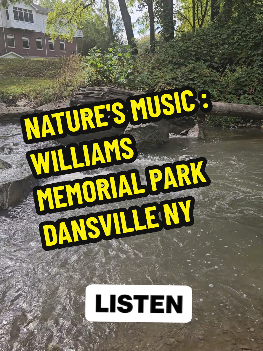 Nature's Music - Williams Memorial Park - Dansville, NY #pslessons #naturesmusicps #travelwithps #iloveny #fyp 