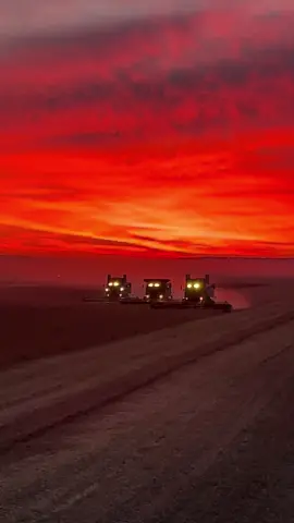 #дикадивізія2025JH🦌 