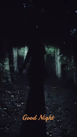 #goodnight #creepytok #itsdarkoutside #darkforest #autumn 