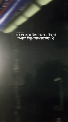 রুহু'তে আজ ভিষণ ব্যা'থা, কিছু না পাওয়ার কিছু পেয়েও হারাবার.!🤍🕊️#samir🤍✨ #fypシ゚viral #pfypシ #foryoupage #foryou @TikTok @TikTok Bangladesh 