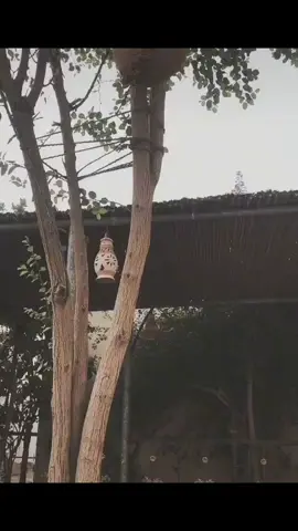 ❣️🙄مۡسَـ(🍀)ـاء الۣخـ(🌸)ـيۡݛ ❣️