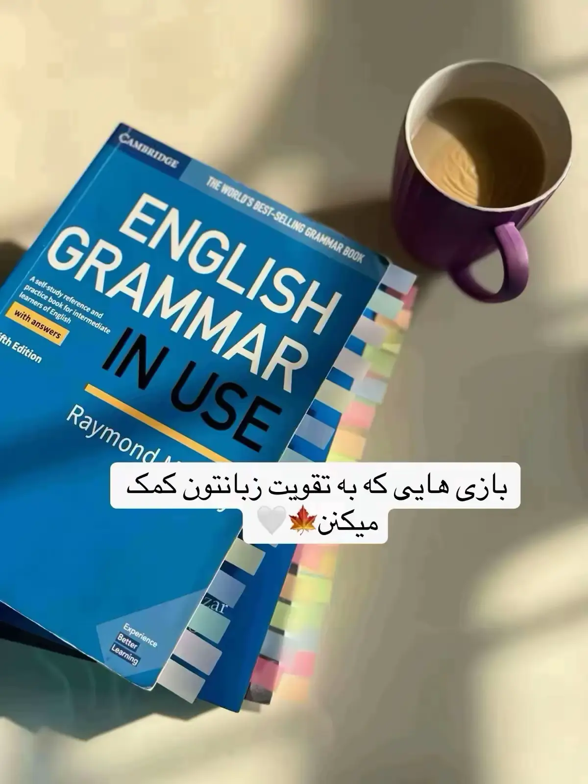 اگه میخواید در رابطه با زبان چینی،ژاپنی،کره ای پست بزارم تو کامنتا بگید🍂🤍 #فارسی #زبان_انگلیسی #فارسی_تیک_تاک #مهارت #Foryou 