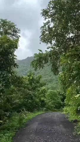 #عبدالودود_حنيف 