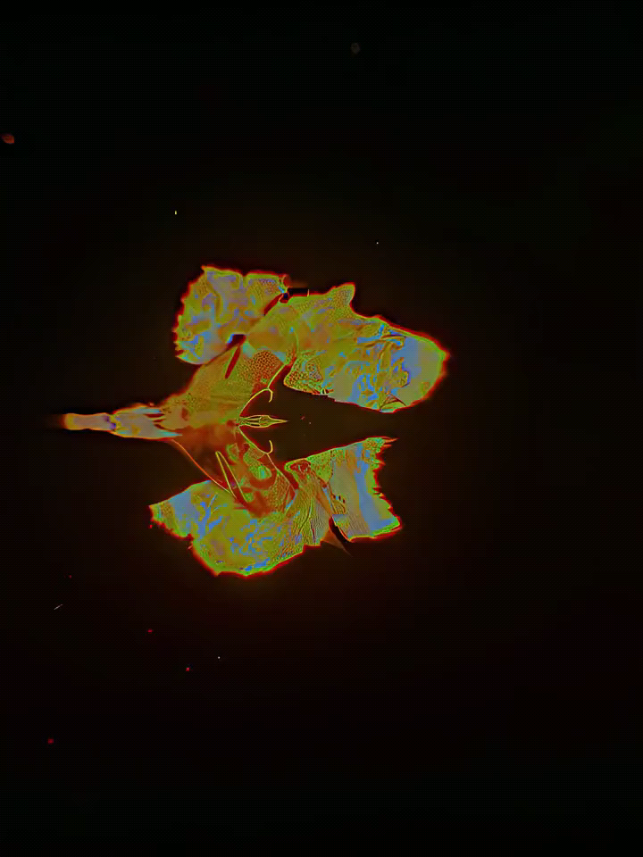The beauty of Avatar: fire and ash  #avatar #avatar2 #avatarfireandash #jakesully #neytiri #avataredit #aesthetic