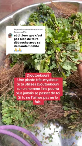 Réponse à @Ramcess016 ##tymadidine1 #djoutoukounitigui #djoutoukouni #secretdefemme 