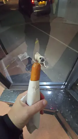 #dog #dogs #pug #pugs #dogsoftiktok               