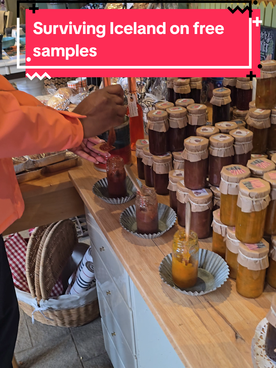 Iceland food is EXPENSIVE!!!!! so when you find free samples, make sure you try every flavor 🤣  #iceland #ringroad 