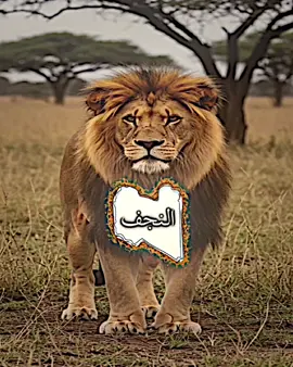 جزا الخامس حسب الطلب كتبو يا محافضه اسوي #تصميم_فيديوهات🎶🎤🎬 #فيديو_ستار #مشاهدات_تيك_توك #تعليقاتكم #الشعب_الصيني_ماله_حل😂😂 