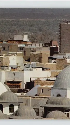 #madina #madinah #المدينة #المسجد_النبوي 
