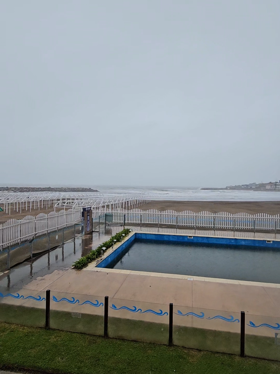 Feliz Primavera!! Ahh, vivís en #mardelplata 🙈 #mardelplataargentina #mardelplataarg #mardelpla #mardel #rain #primavera 