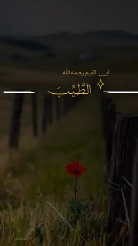 فَإِنَّ الطَّيِّبَ لَا يُنَاسِبُهُ إِلَّا الطَّيِّبُ  وَلَا يَرْضَى إِلَّا بِهِ،‏وَلَا يَسْكُنُ إِلَّا إِلَيْهِ  وَلَا يَطْمَئِنُّ قَلْبُهُ إِلَّا بِهِ