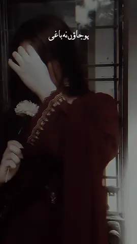 ho jaaun na baghi 🥹🥹