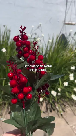 Galho de azevinho cereja para enfeite natalino #natal #enfeitedenatal #decoraçãonatalina #tiktokshop #tiktokshopbrasil 