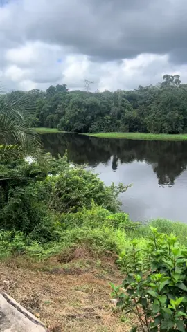 #foryoupage #pourtoii #ebogo #tourisme  La beauté du site touristique d’ebogo.  #mbalmayo-yaounde