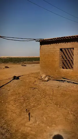 #محمود #العامري #حزينہ♬🥺💔 #عتابه #حزن 