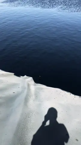 #حقول_النفط🇱🇾 #المؤسسة الوطنية للنفط #ليبيا