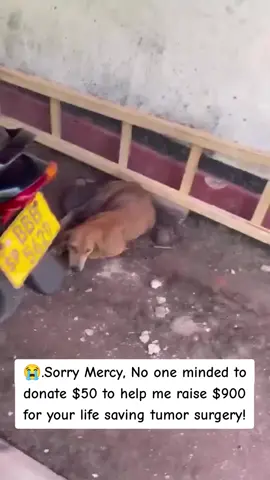 You Like ❤️,  share 💌, comment 💬 and donate $50... Mercy will get money for her life-saving surgery 🥹!