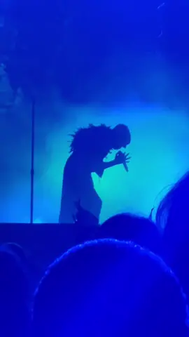 Girl therapy 🖤✨🦩 #sleeptoken #eveninarcadia #girltherapy #concert