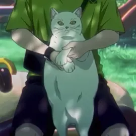 mincefat #fyp #thesummerhikarudied #tshd #hgsn #hikarugashindanatsu 