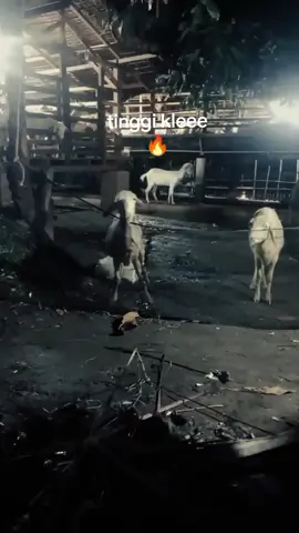 🔥😜 #boxing  #fyp 