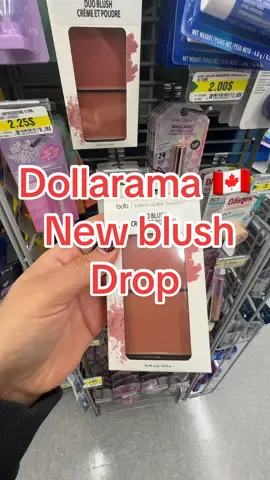 #dollaramacanada #dollaramafinds #billiondollarbeauty #blushduo 