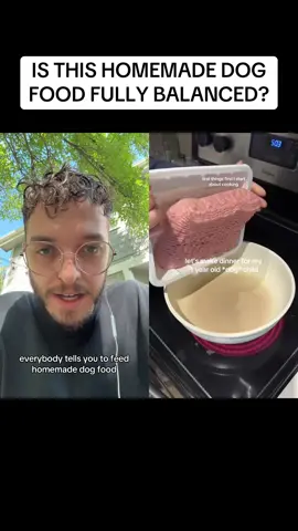 #duet with @CASS VIEIRA ✨ IS THIS HOMEMADE DOG FOOD BALANCED?! Link in our bio for the Homemade Dog Food Guide with 12 recipes, video demos and 1-on-1 support! ❤️🐾 #thebkpets #homemadedogfood #dogfoodrecipe 