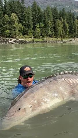 Check out the size of this fish 🐟😳 #sturgeon #fishing #bucketlist #fish 