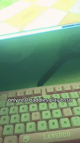 mllr jeu au monde entier #bsso #starstable #starstableonline #oldsso #pourtoi 