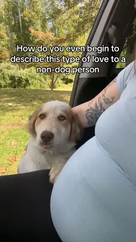 The pure love and loyalty dogs show us, it’s like heaven on earth 💖#puppy #Love #doglover #purelove #puppytiktok 