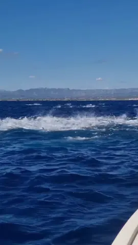 Busting up in the Ebro Delta!! - @greenflakefishing  @howkfishing Bullfighter 200 in action! Don’t forget to follow! We have some INSANE trips coming up! Big Fish, Heavy Waves, Raw Stories! That’s Aclassic! www.aclassic.co #fishing #fish #fishinglife #bluewater #nature  